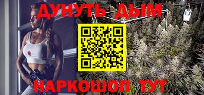 прущие крисы Гатчина