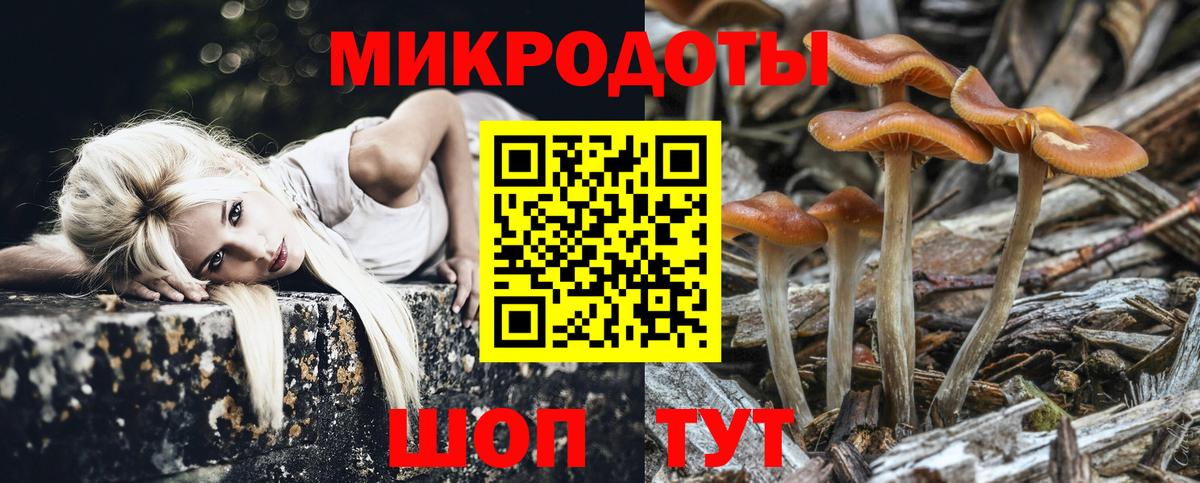 Галлюциногенные грибы MAGIC MUSHROOMS  Вход с VPN  Новотроицк  Галлюциногенные грибы GOLDEN TEACHER 